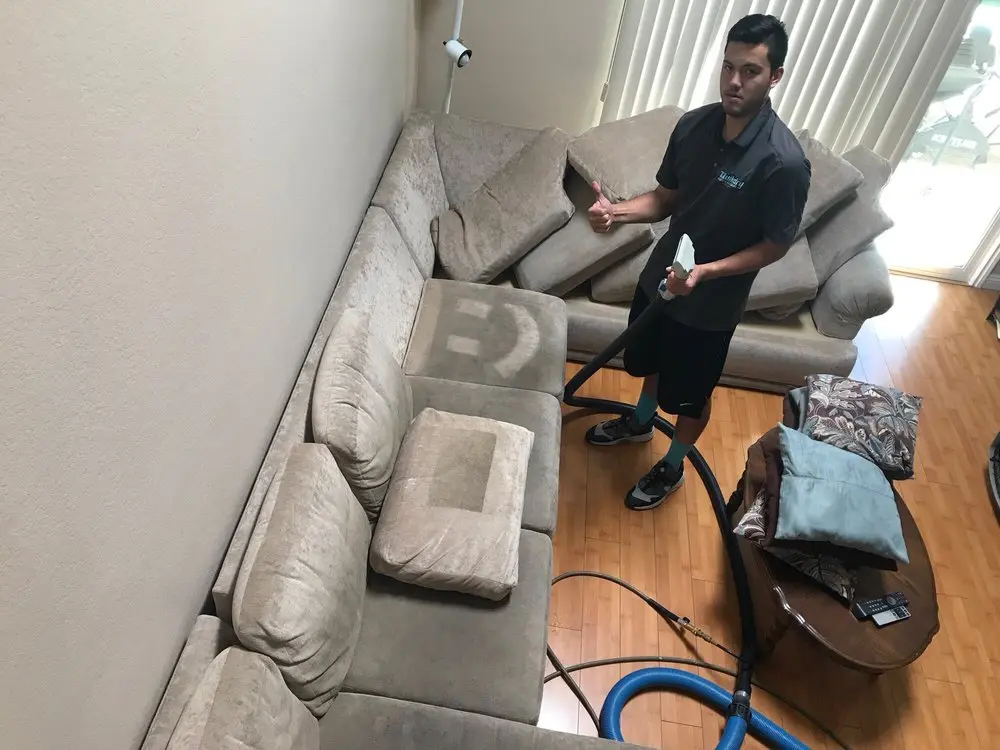 Professional upholstery cleaning service