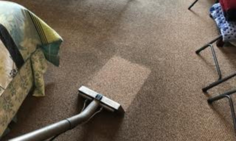 Professional Carpet Cleaning Cost